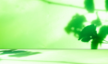Green Shadow Background Studio Room Photo Empty Gradient Leaf Floor Wall Backdrop Muslin Design...