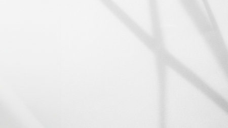 Shadow Background Abstract Leave Overlay Wall Floor Light Effect White Plant Sunlight Backdrop Mockup Minimal Spring Summer Nature Grey blur Photography Scene Template Poster Card Frame Product.の写真素材