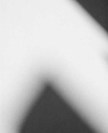 Shadow Background Abstract Leave Overlay Wall Floor Light Effect White Plant Sunlight Backdrop Mockup Minimal Spring Summer Nature Grey blur Scene Template Poster Card Frame Product.の写真素材