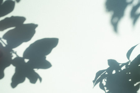 Green Shadow Abstract Background Overlay Leaf Natural blur Cement Wall Floor Beige Mockup Product Summer Tropical Nature Presentation Frame Template Backdrop Environment Platform.の写真素材