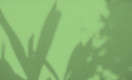 Green Shadow Abstract Background Overlay Leaf Natural blur Cement Wall Floor Beige Mockup Product...