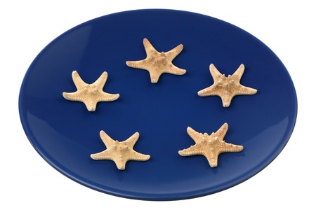 Starfishes on a plate over white の写真素材