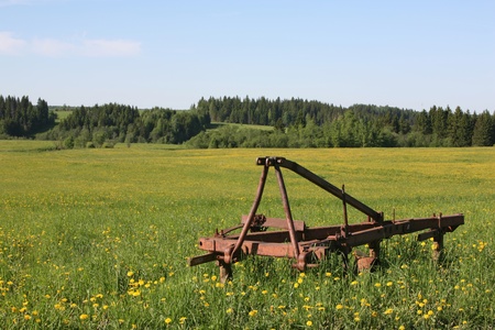 Russian field by the end of May の写真素材