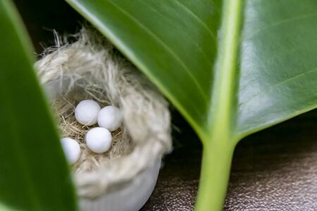 Natural Homeopathic Concept - Close up image of homeopathic pills in small jute nest with green leaf...