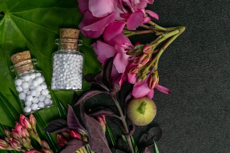 Homeopathic medicines consisting of globules bottles, pink flowers and wild fruit on green leaf and dark background. Homeopathy Medicine conceptの写真素材