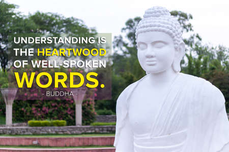 understanding is the,heartwood of well-spoken words - buddha