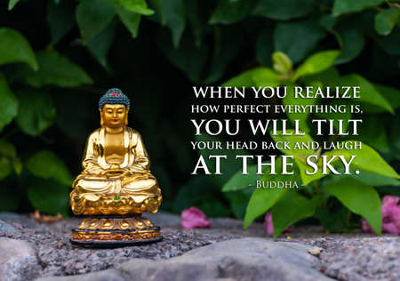 When you realize how perfect everything is, you will tilt your head back and laugh at the sky -...
