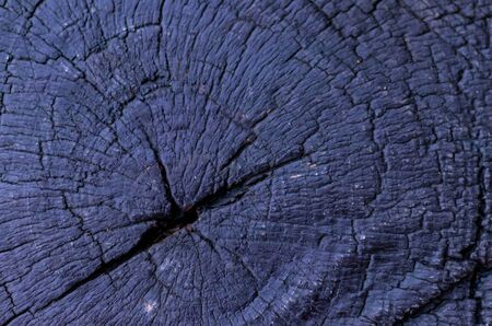top view macro photography of flat wooden texture with rings in the trunk. age conceptの写真素材