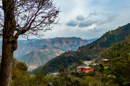 wide shot of mountains under cloudy sky and tree in the foreground