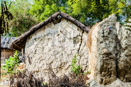 Close up shot of mud house in village with neem trees over the backgroundの写真素材