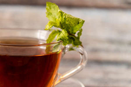 Close up shot of black tea with mint leaves on defocused backgroundの写真素材
