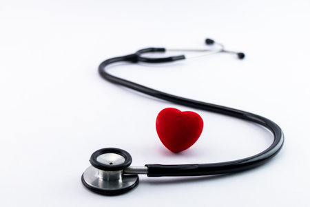 A stethoscope and a red heart are placed together health checkup concept.CR2の写真素材