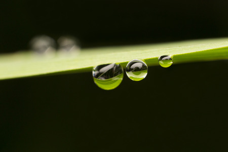 Drop Water
