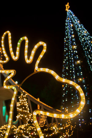 Reindeer Light and Christmas tree Lightsの写真素材