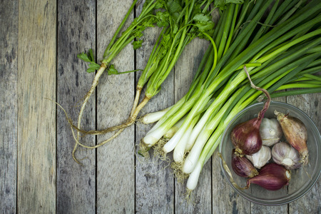 onion welsh, onion, garlic and coriander on wood plank, vegetable backgroundの写真素材