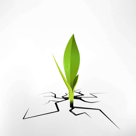 new life is born from the cracked groundのイラスト素材