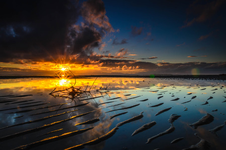 beach, beauty, calm, in, landscape, low, nature, orange, reflection, seascape, sky, sunrise, tide, tourism, travel, waterの写真素材
