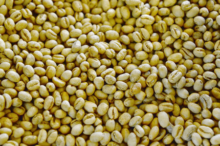 Texture of coffee green beansの写真素材