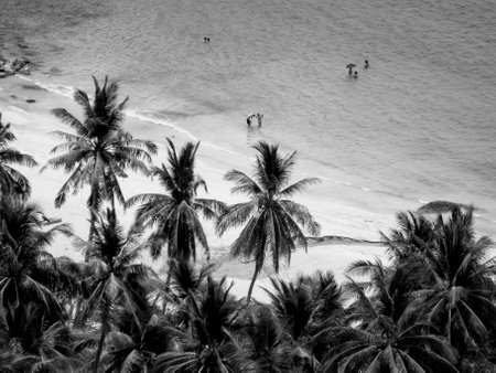 Koh Tao Thailandの素材