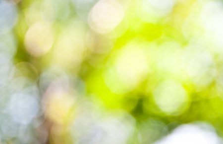 The abstract background of natural light bokehの写真素材