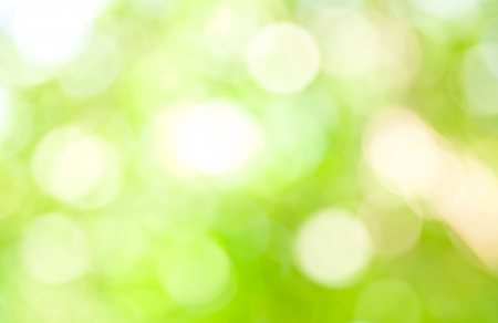 The abstract background of natural light bokehの写真素材