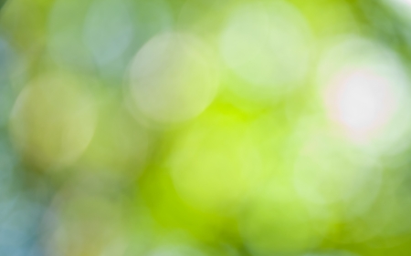The abstract background of natural light bokehの写真素材