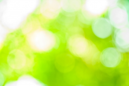 The abstract background of natural light bokehの写真素材