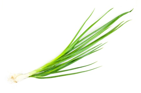 The spring onion isolated on white backgroundの写真素材