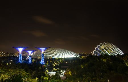 Gardens by the Bay - SuperTree Grove in Singaporeのeditorial素材