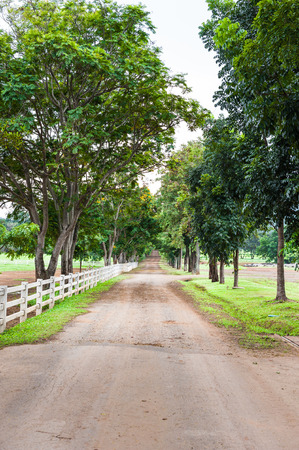 Country road along a white picket fence.の写真素材