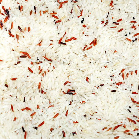 raw rice and brown rice close upの写真素材