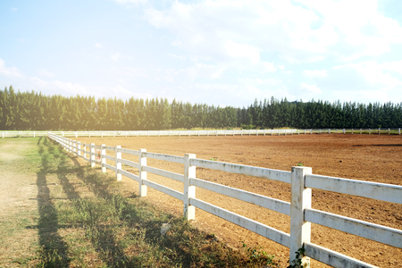scenic summer of farmの写真素材