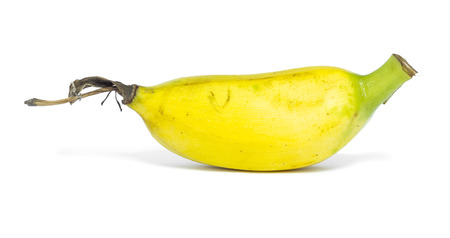 Single banana on white background.の写真素材