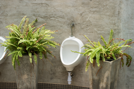 toilet view by urinals, Urinal or chamber pot for men on the cement wall in the toilet.の写真素材