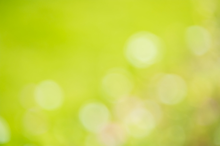 Yellow and green abstract background from nature.の写真素材
