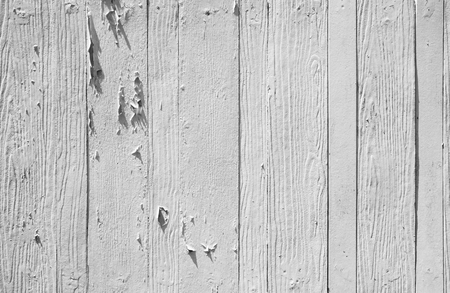 White vintage wood background.の写真素材