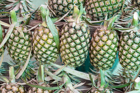 pineapples for sale at a road stand in Thailand.の写真素材