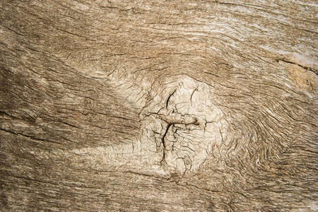 Texture of wood abstract natural background.の写真素材