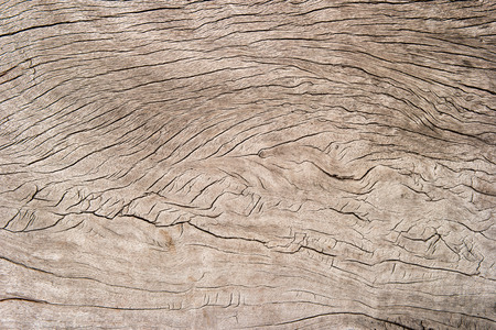 Texture of old brown wood background.の写真素材