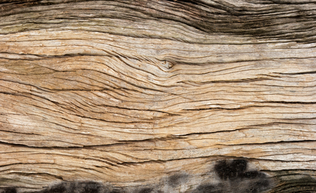 Texture of old brown wood background.の写真素材