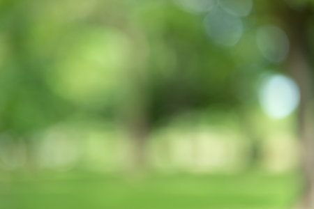 Green color abstract blur bokeh background from tree and light in natural garden.の写真素材