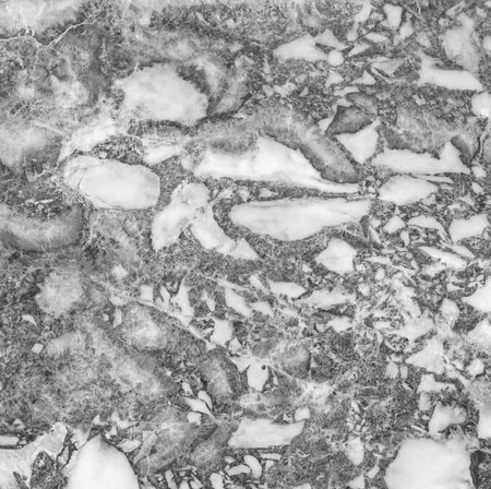 White black marble texture luxury background, abstract marble texture (natural patterns) for tile design.の写真素材