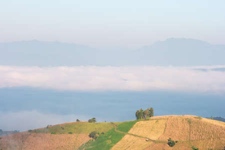Foggy early morning autumn mountains scene. Seasonal, nature and countryside beauty concept scene in Thailand.の写真素材