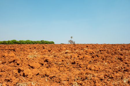 The organic soil in agricultural rural environment area, After plowing the topsoil in Thailand.の写真素材