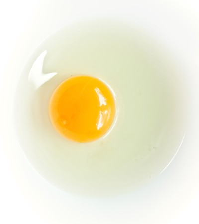 egg isolatedの写真素材