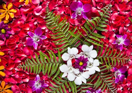 spa flower