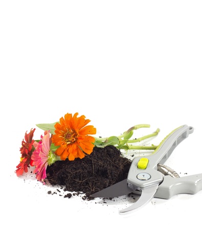 home gardeningの写真素材