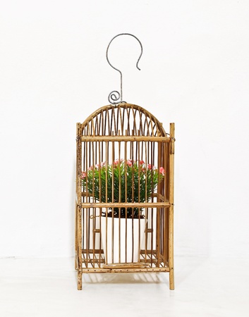 bird cageの写真素材