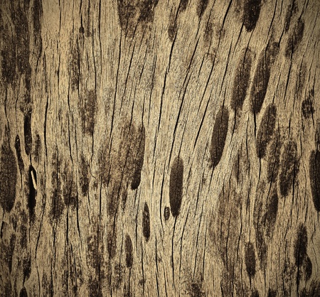The surface pattern designed on wood for furnitureの写真素材