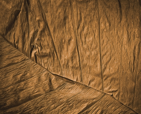 close up detail of dry plant backgroundの写真素材